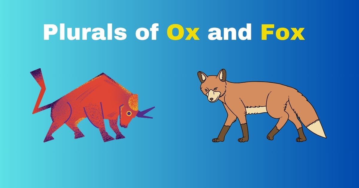What Are the Plurals of Ox and Fox Why Oxen and Foxes